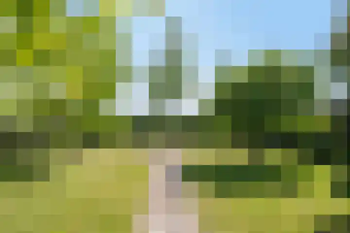 Groot-Zuideveld 35 Dussen thumbnail 42