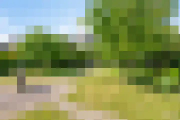 Groot-Zuideveld 35 Dussen thumbnail 43