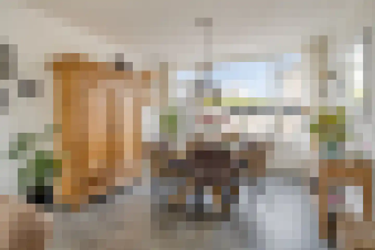 Groot-Zuideveld 42 Dussen thumbnail 10
