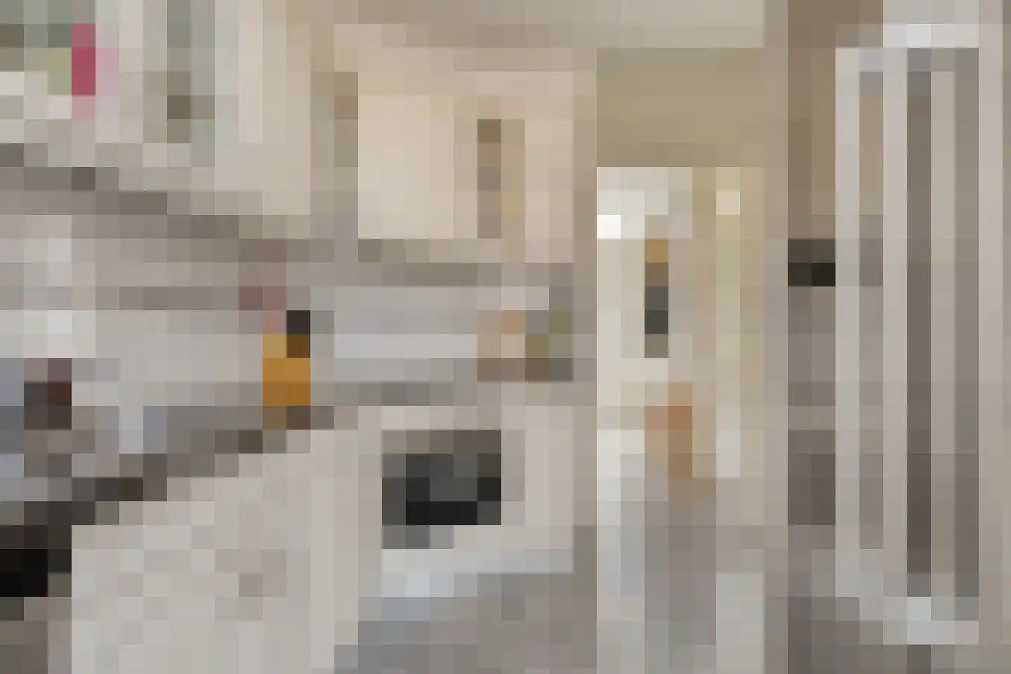 Groot-Zuideveld 42 Dussen thumbnail 13