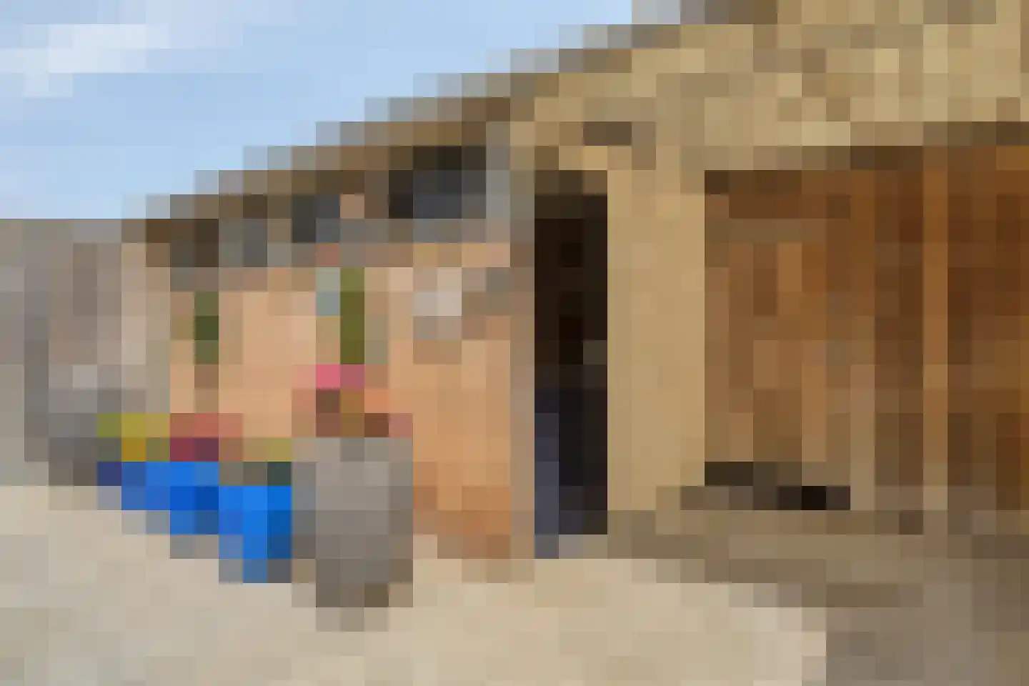 Groot-Zuideveld 42 Dussen thumbnail 28