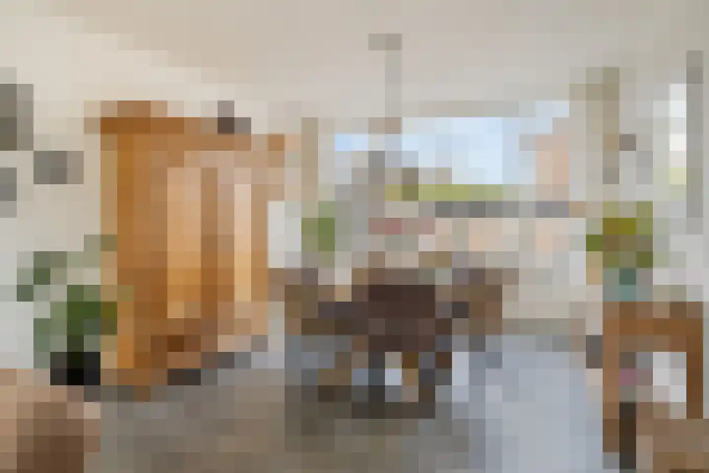 Groot-Zuideveld 42 Dussen thumbnail 4