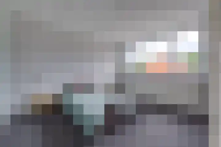 Grootakkers 24 Stadskanaal thumbnail 14