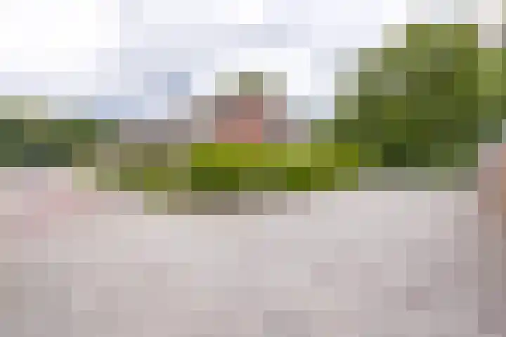 Grootakkers 24 Stadskanaal thumbnail 27