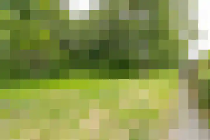 Grootakkers 24 Stadskanaal thumbnail 28