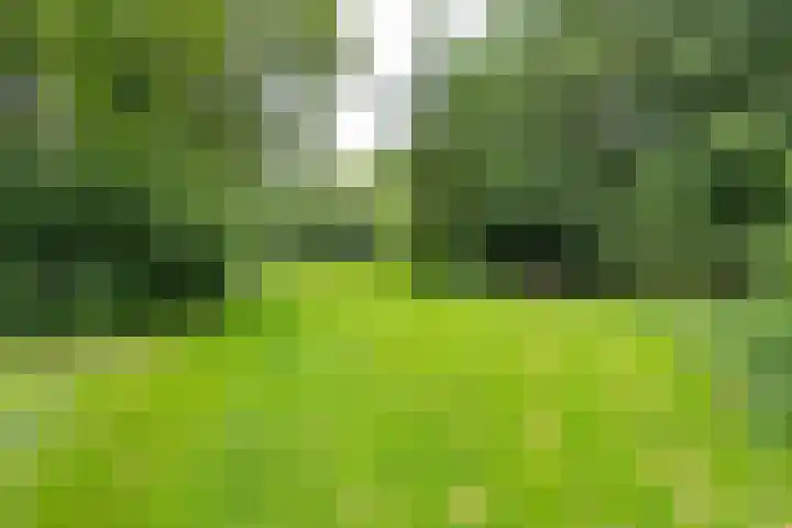 Grootakkers 24 Stadskanaal thumbnail 29