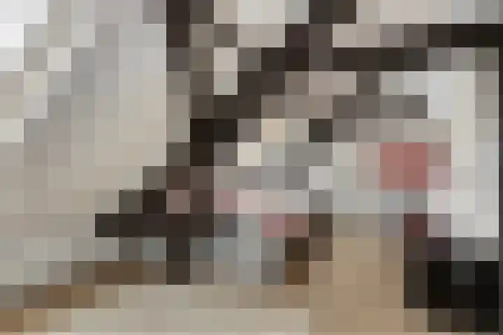 Grootdorp 65 Merselo thumbnail 37