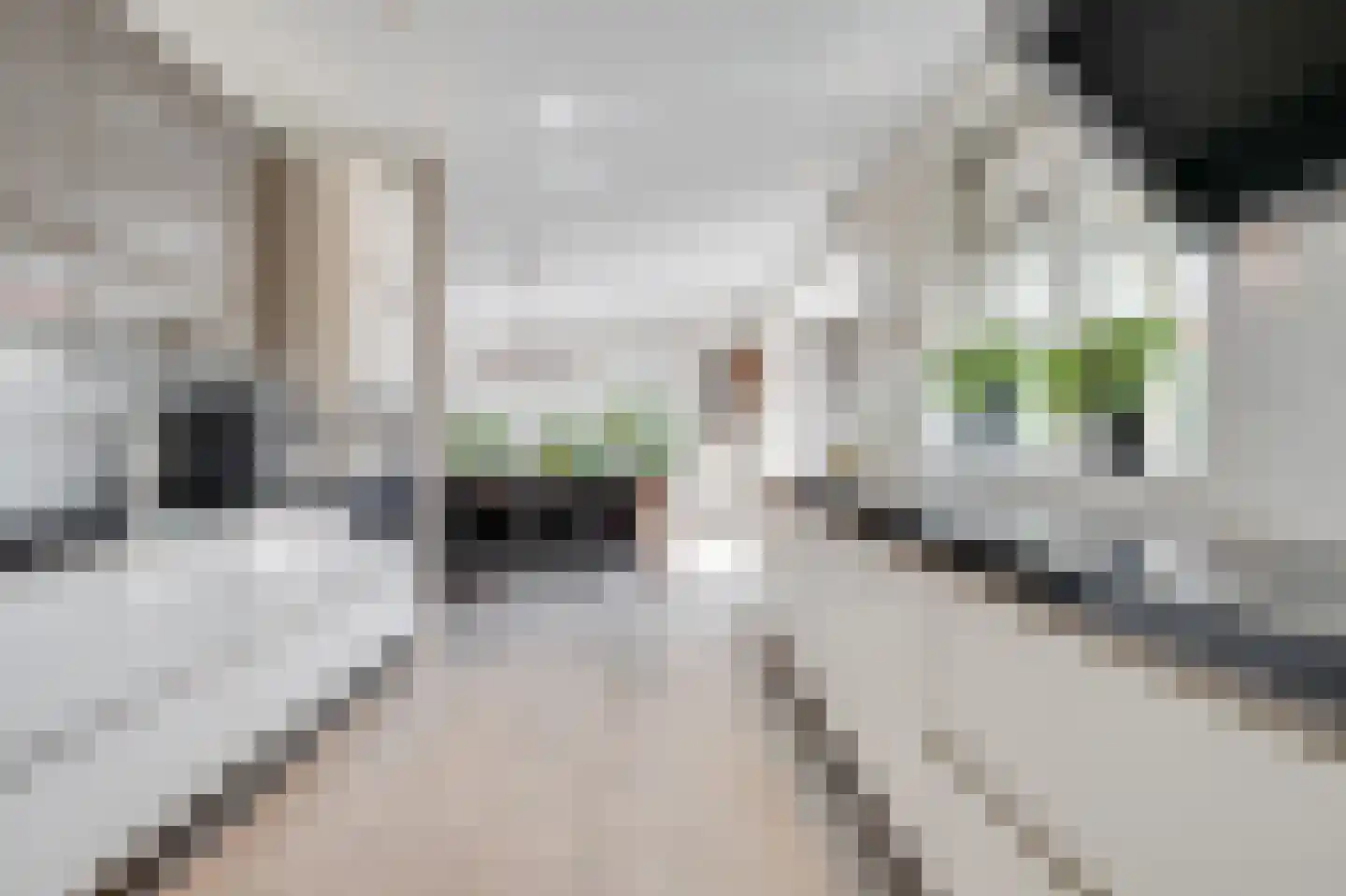 Groote Geldebosch 15 Heerhugowaard thumbnail 10