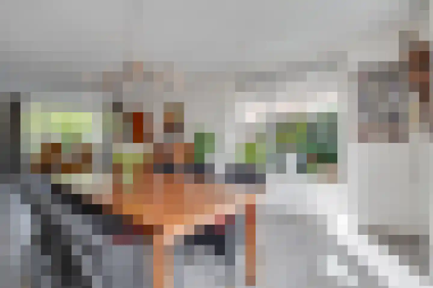Groote Geldebosch 15 Heerhugowaard thumbnail 11