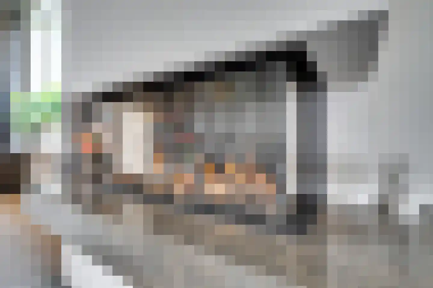 Groote Geldebosch 15 Heerhugowaard thumbnail 17