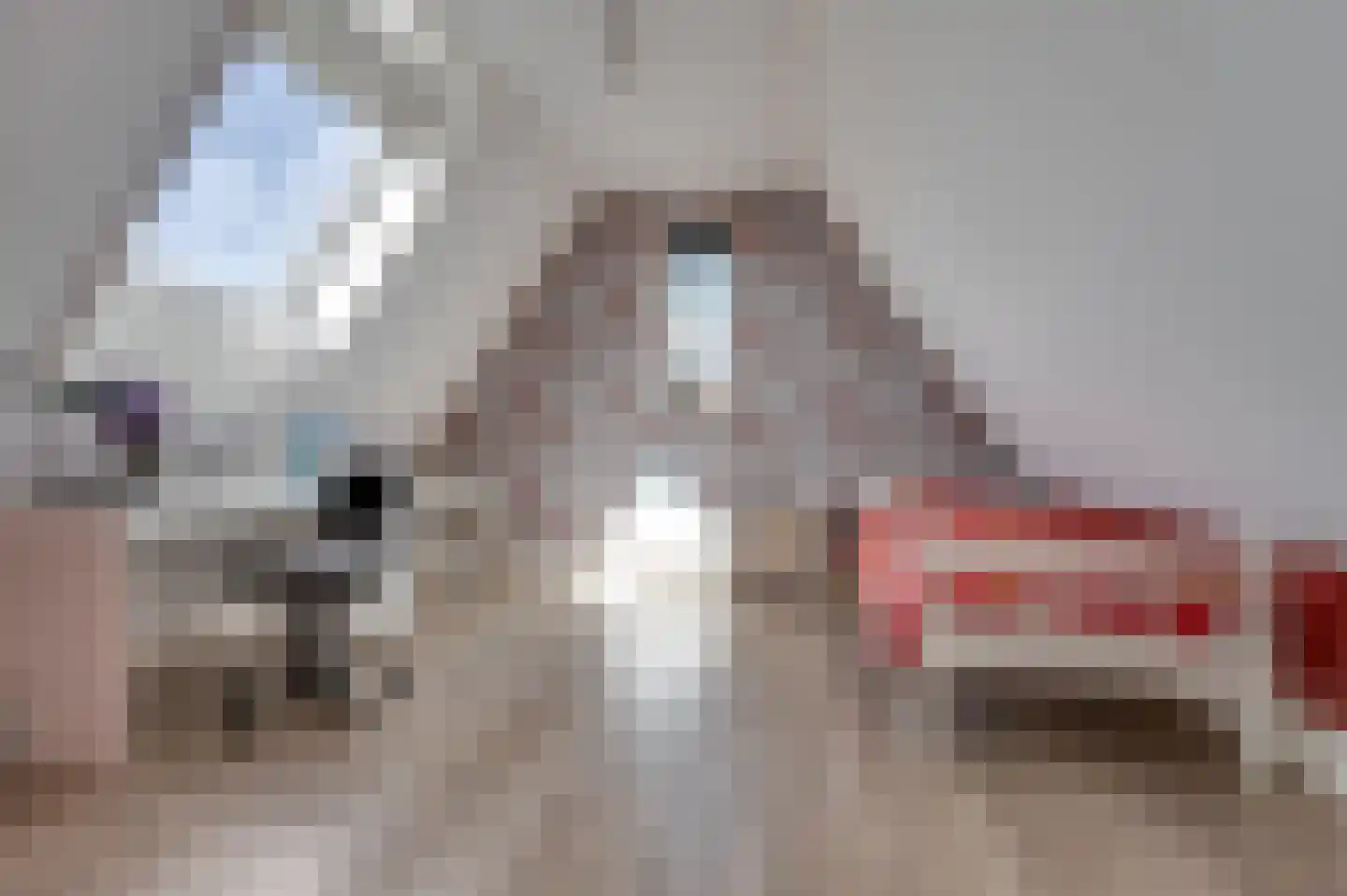 Groote Geldebosch 15 Heerhugowaard thumbnail 37