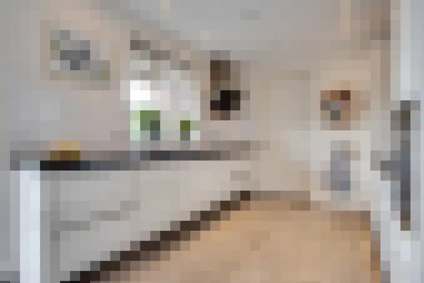 Groote Geldebosch 15 Heerhugowaard thumbnail 7
