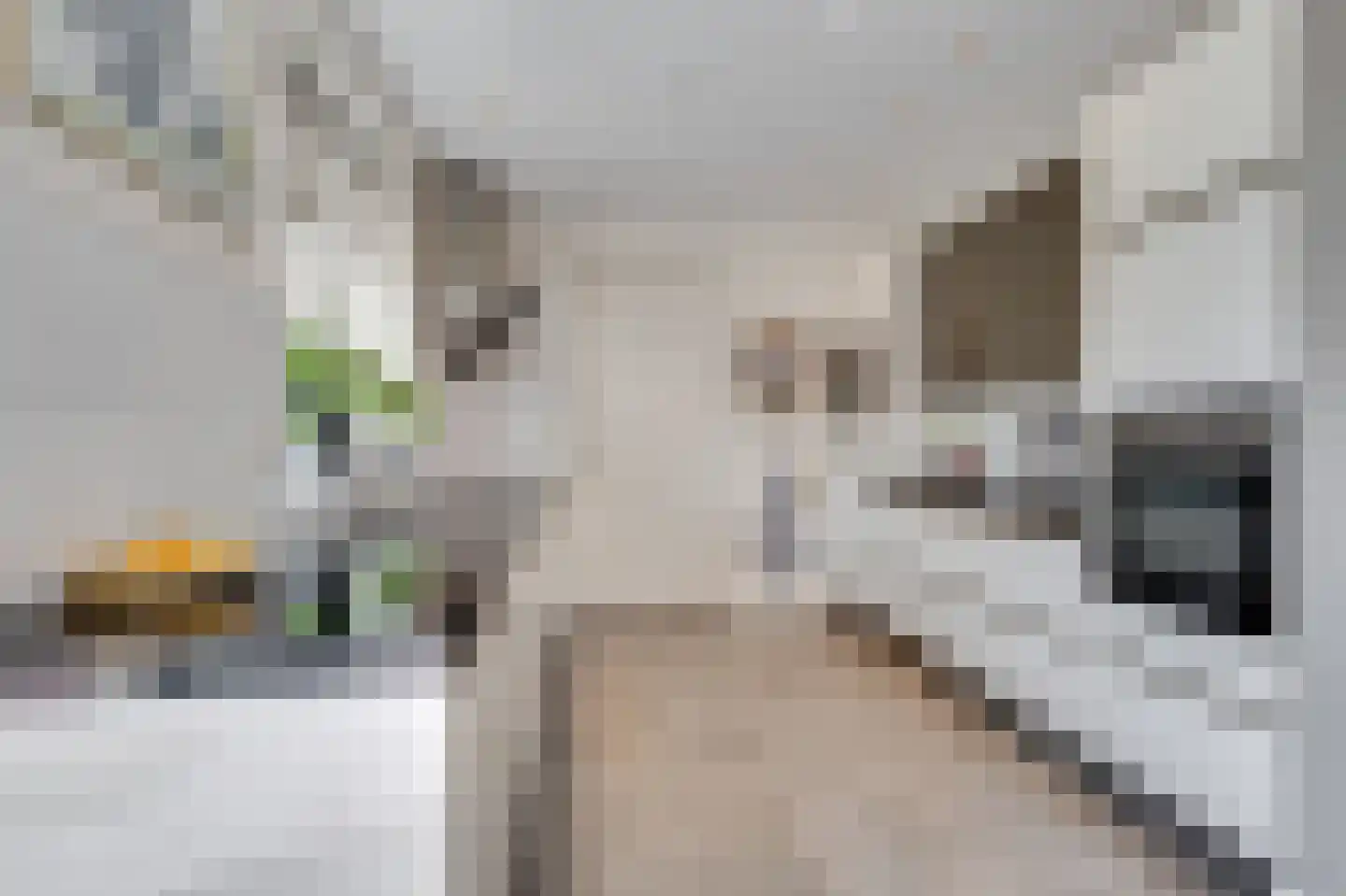 Groote Geldebosch 15 Heerhugowaard thumbnail 8