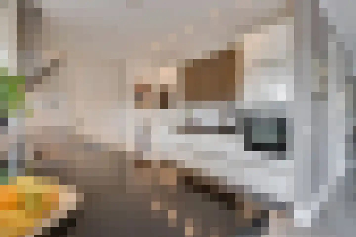 Groote Geldebosch 15 Heerhugowaard thumbnail 9