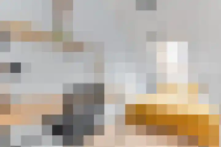 Groote Geldebosch 23 Heerhugowaard thumbnail 17