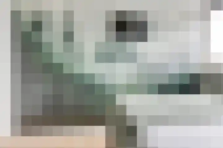 Groote Geldebosch 23 Heerhugowaard thumbnail 21