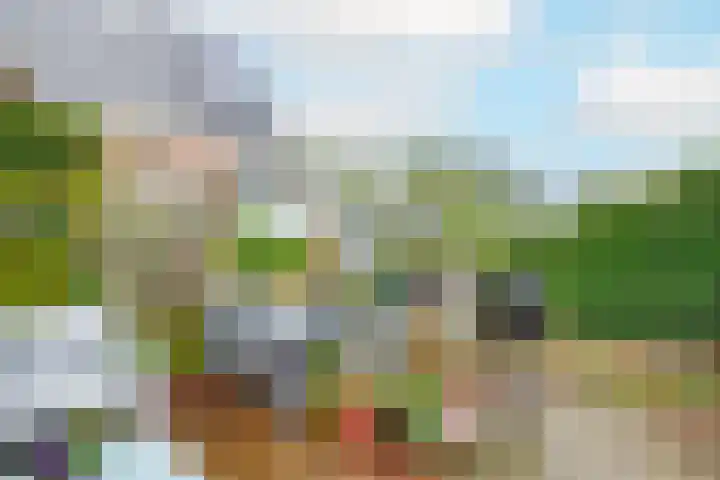Groote Geldebosch 23 Heerhugowaard thumbnail 31