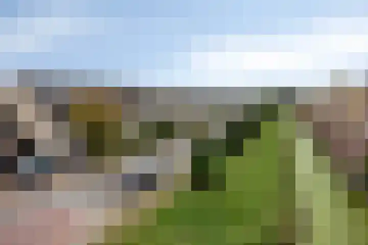 Groote Kreek 104 Amersfoort thumbnail 30