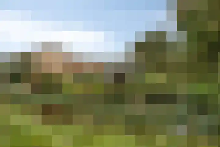 Groote Kreek 104 Amersfoort thumbnail 31