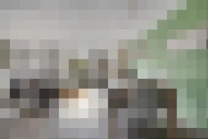 Groote Kreek 104 Amersfoort thumbnail 7