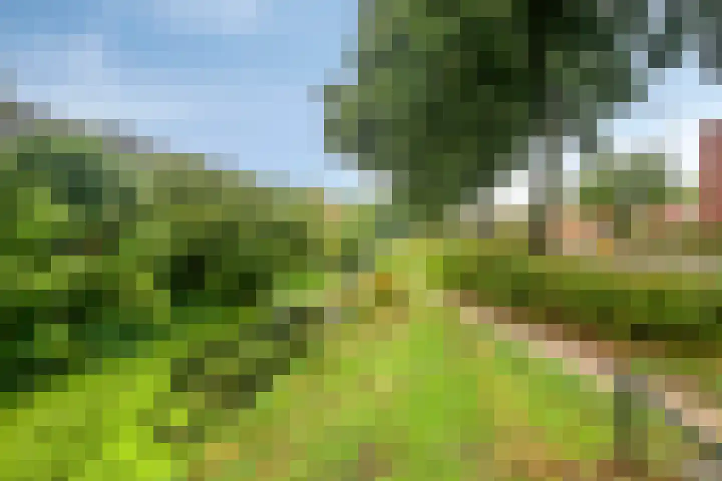 Groote Kreek 72 Amersfoort thumbnail 35