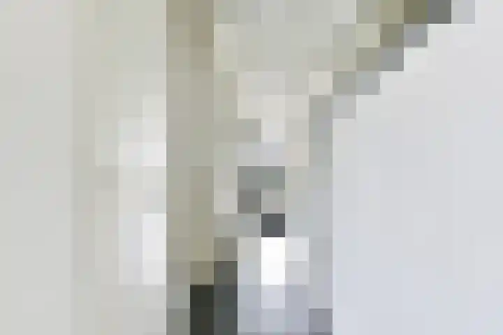 Groote Kreek 90 Amersfoort thumbnail 16