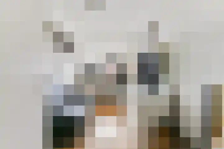 Groote Kreek 90 Amersfoort thumbnail 20