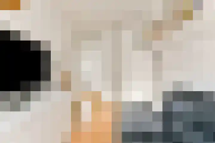 Groote Kreek 90 Amersfoort thumbnail 21
