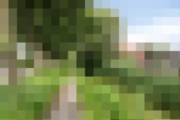 Groote Kreek 98 Amersfoort thumbnail 27