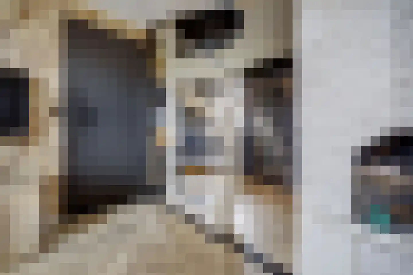 Groote Lindtstraat 35 Rotterdam thumbnail 11