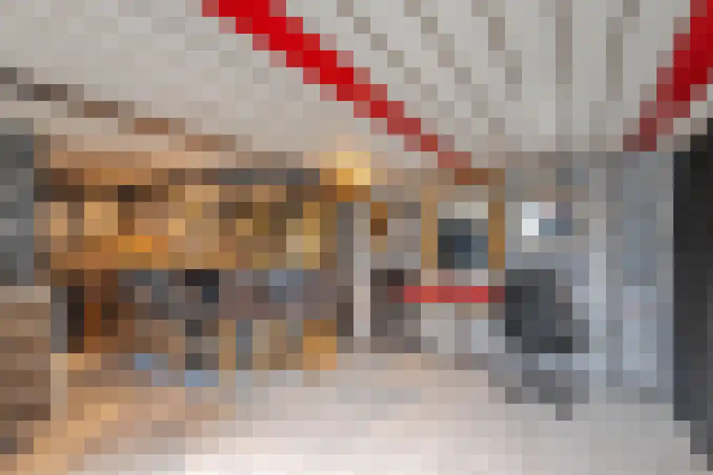 Groote Lindtstraat 35 Rotterdam thumbnail 17