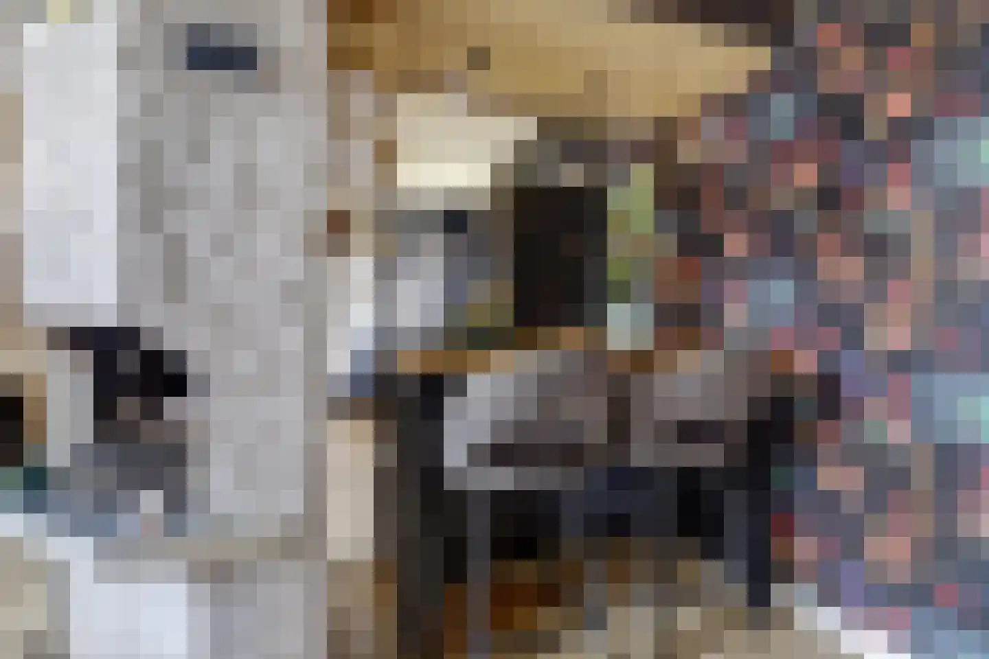 Groote Lindtstraat 35 Rotterdam thumbnail 9