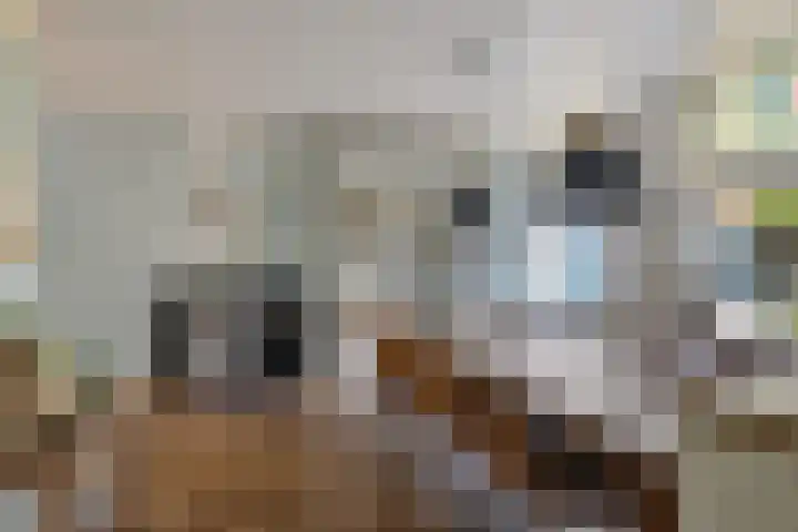 Groote Noord 2 Monnickendam thumbnail 12
