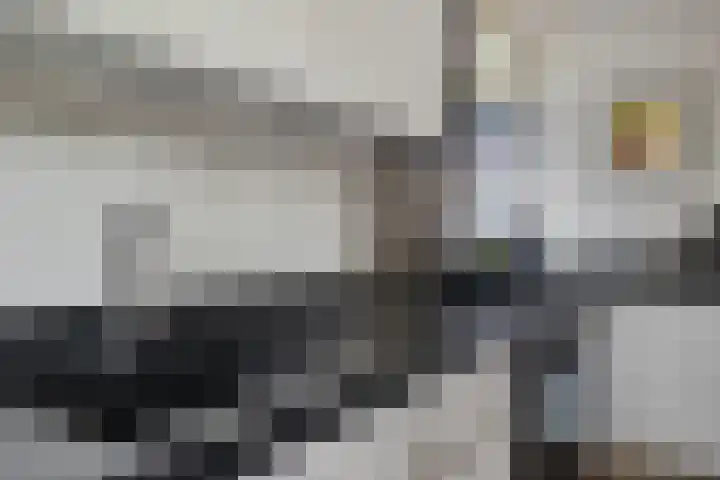 Groote Noord 2 Monnickendam thumbnail 16