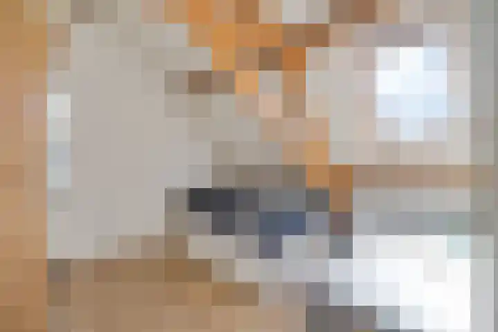 Groote Noord 2 Monnickendam thumbnail 25