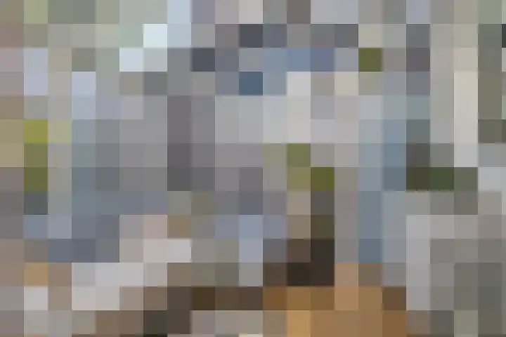 Groote Noord 2 Monnickendam thumbnail 34