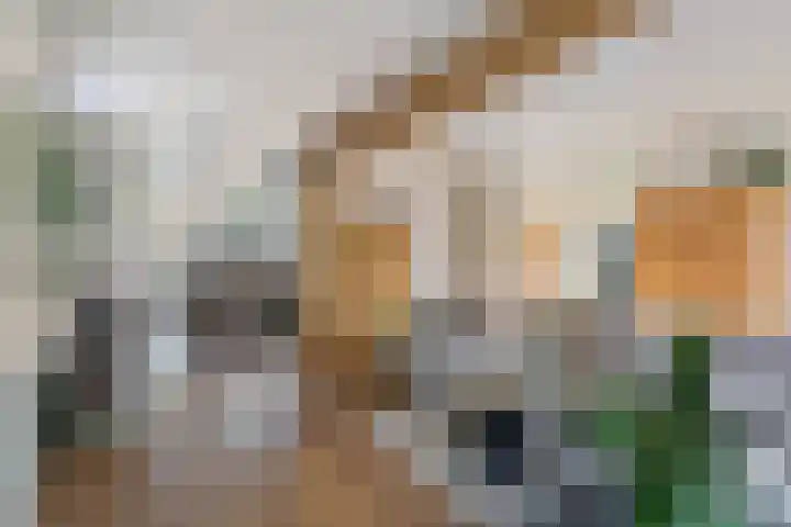 Groote Noord 2 Monnickendam thumbnail 6