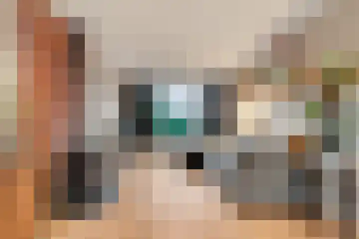 Groote Olven 16 Heiloo thumbnail 13
