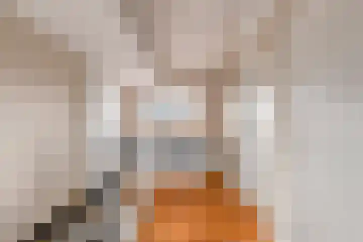 Groote Olven 16 Heiloo thumbnail 35