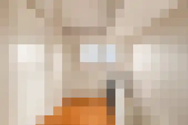 Groote Olven 16 Heiloo thumbnail 36