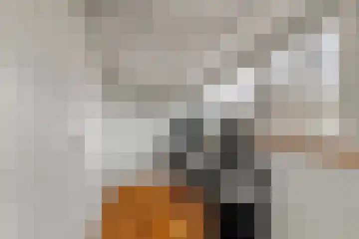 Groote Olven 16 Heiloo thumbnail 39