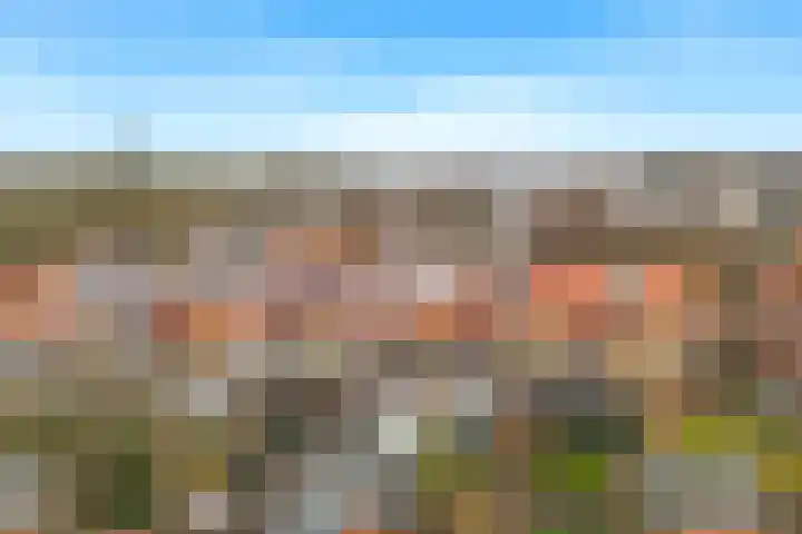 Groote Olven 16 Heiloo thumbnail 43