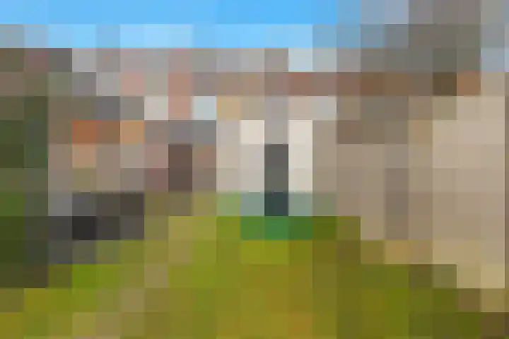 Groote Olven 16 Heiloo thumbnail 5
