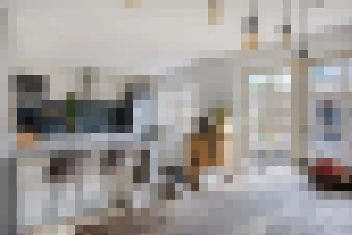 Groote Olven 2 Heiloo thumbnail 17