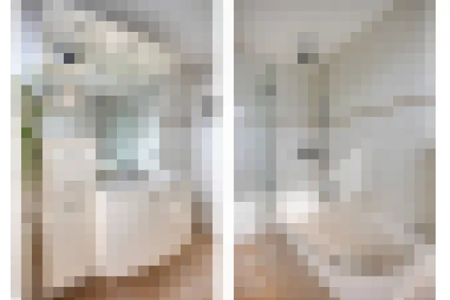 Groote Olven 2 Heiloo thumbnail 25