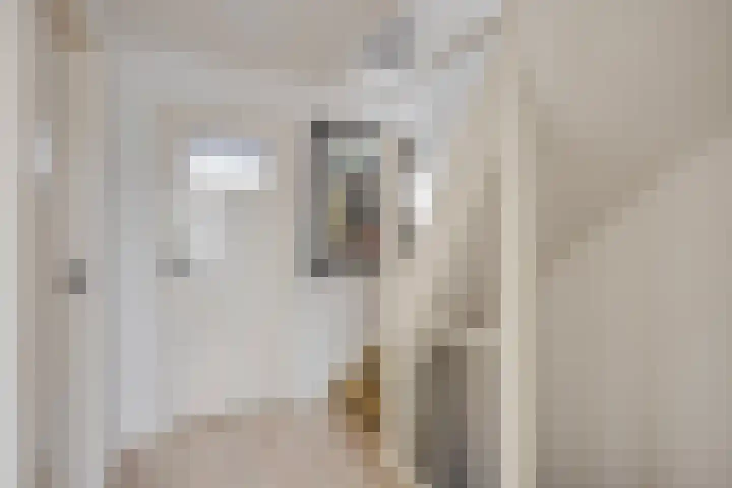 Groote Olven 2 Heiloo thumbnail 27