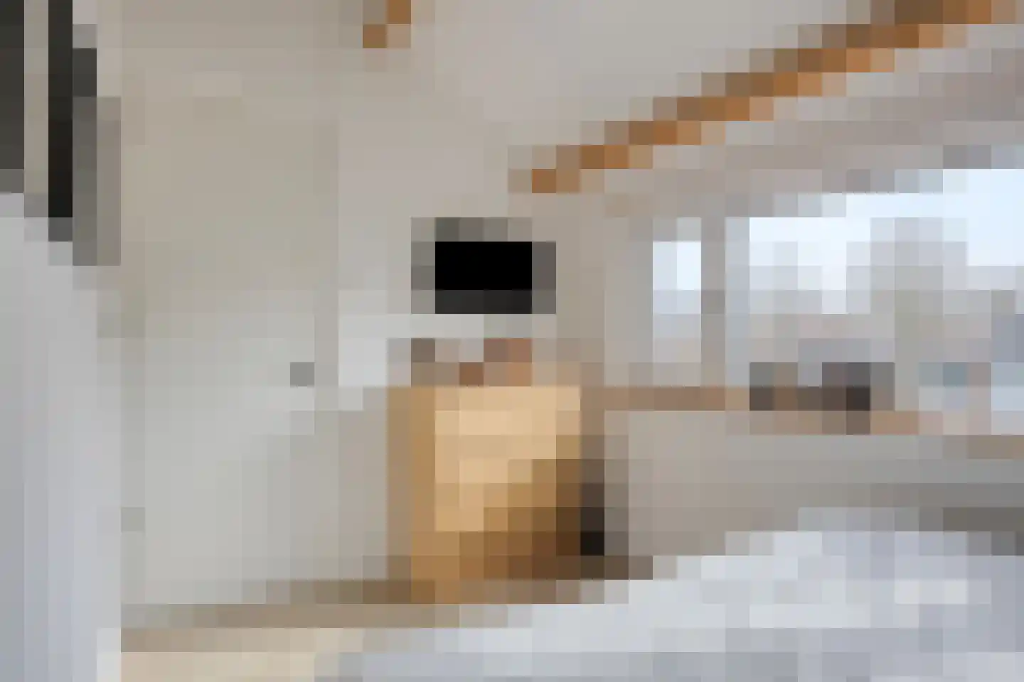 Groote Olven 2 Heiloo thumbnail 30