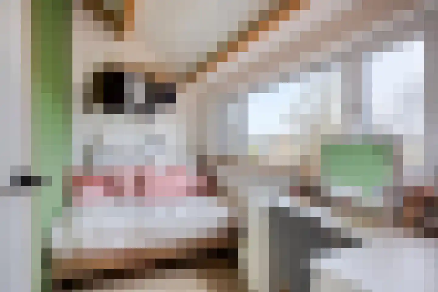 Groote Olven 2 Heiloo thumbnail 31