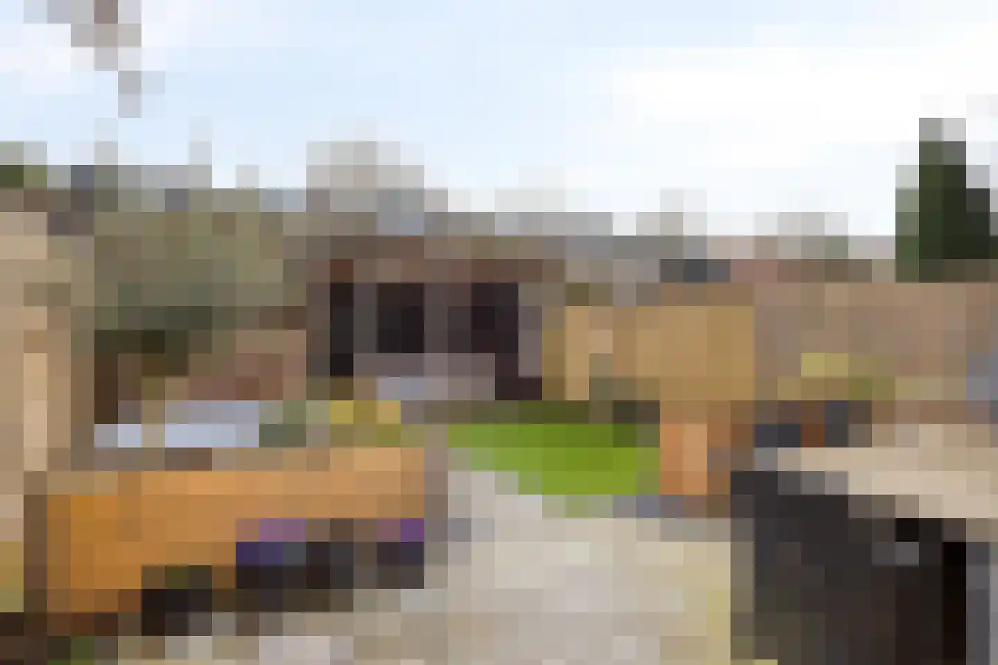 Groote Olven 2 Heiloo thumbnail 32