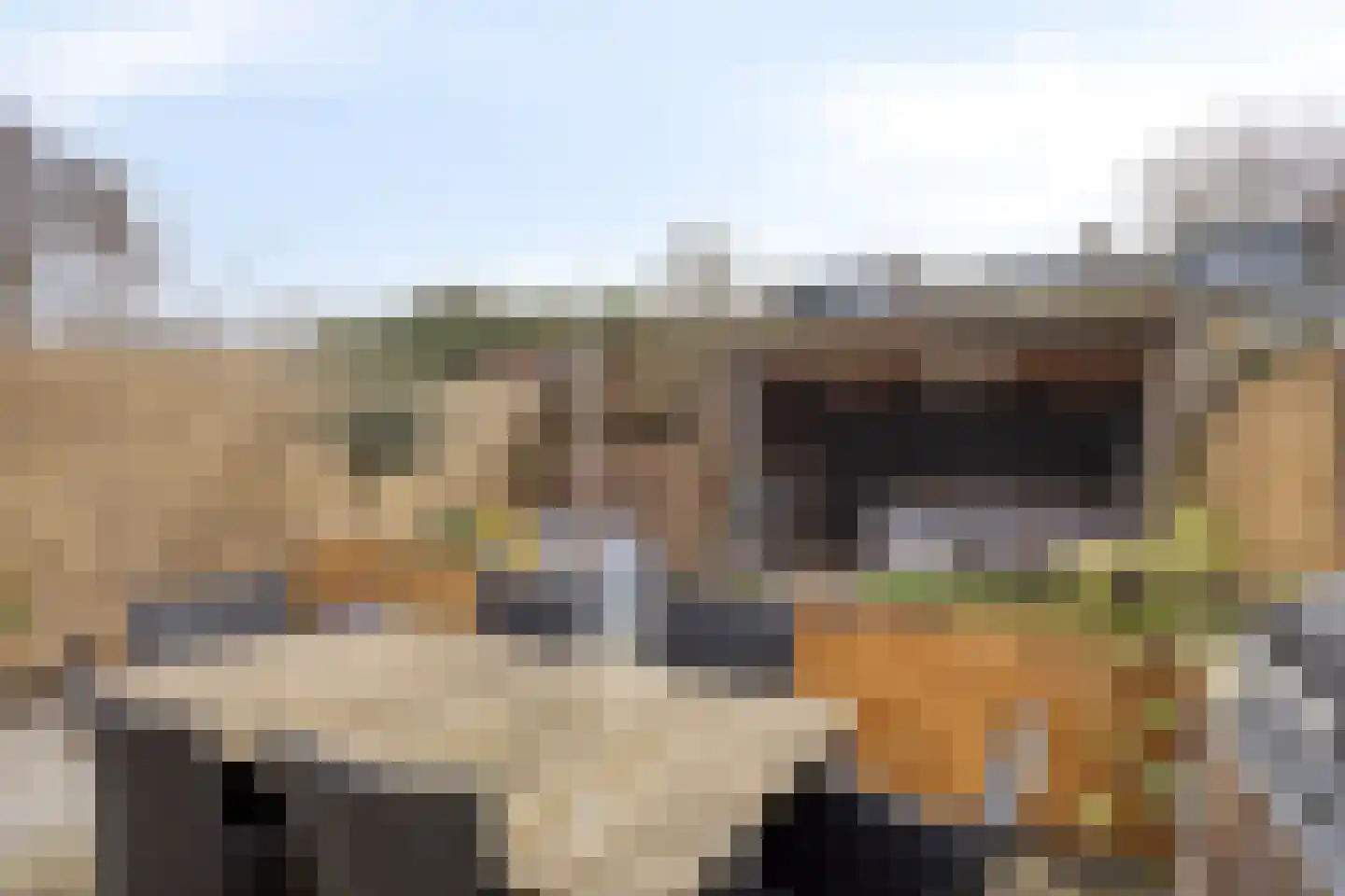 Groote Olven 2 Heiloo thumbnail 33